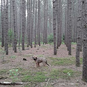 Meet your Posher, Wanda